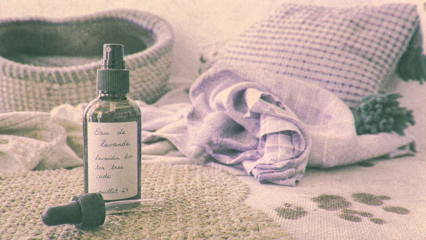 Huile essentielle anti puce maison : spray et zones à traiter