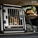 caisse de transport pour chien dans le coffre, sécurité voyage