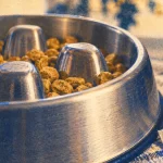 Gamelle chien anti glouton en acier inox mat, relief à bosses, croquettes